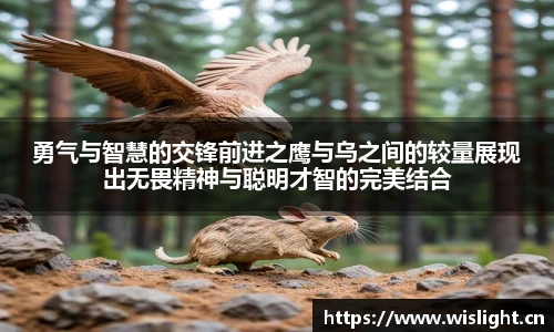 勇气与智慧的交锋前进之鹰与乌之间的较量展现出无畏精神与聪明才智的完美结合